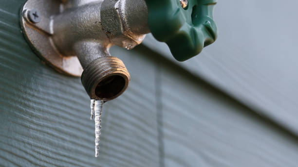 Best Residential Plumbing Services  in Hornell, NY