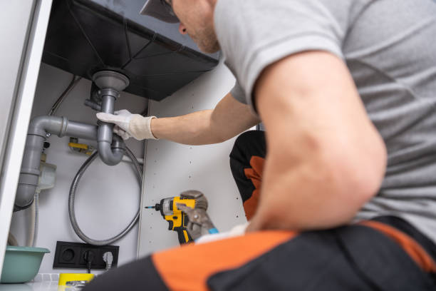 Best Clogged Drain Plumber  in Hornell, NY
